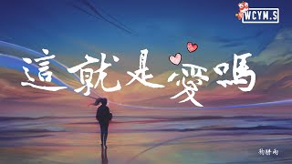 杨胖雨 - 这就是爱吗【動態歌詞/Lyrics Video】 chords