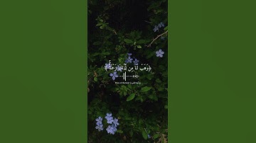 سورة آل عمران|| القارئ وديع اليمني #وديع_اليمني