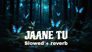Jaane Tu (Slowed And Reverb) Chhaava | A. R. Rahman | Arijit Singh