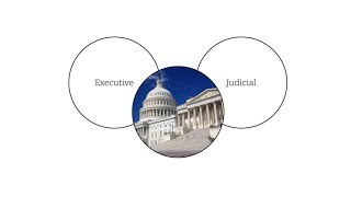 Three Branches of US Government with Checks & Balances