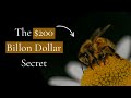 The $200 Billion Secret Every Honey Bee is Hiding (And Why Your Food Depends On It)