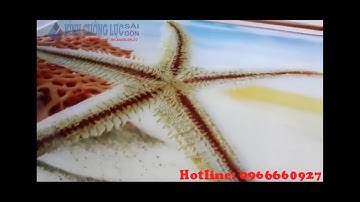 Tranh kính Đại Dương Xanh | Đại Đại Dương | Hotline: 0966660927