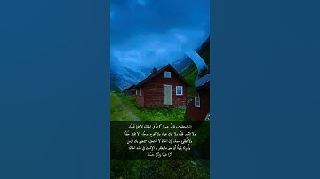 من عمل صالحاً من ذكر أو أنثى وهو مؤمن فلنحيينه حياة طيبة || حالات واتس اب قران كريم 🌿💚