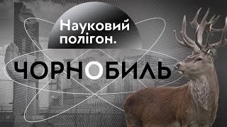 Research SIte. Chornobyl. Documentary
