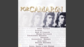 Detras Del Tuyo Se Va (Tangos)