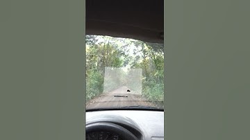 Is Meta Quest Color Passthrough Camera Good Enough to DRIVE in?! #Quest3 #short #questpro