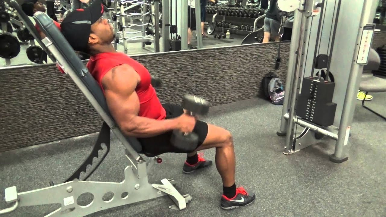 Hammer curls sitting