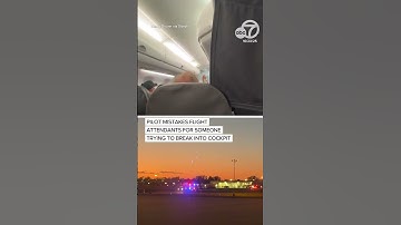 False alarm on American Airlines after pilots thought someone was trying to break into the cockpit