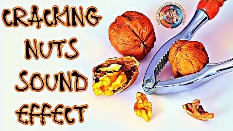 Cracking Nuts Sound Effects / Nuts Crack and Break Sounds / Walnut Breaking / No Copyright