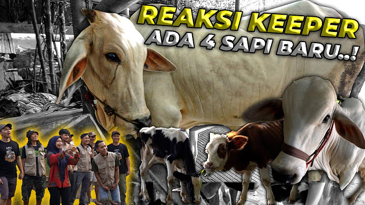 REAKSI SELURUH KEEPER MELIHAT KEDATANGAN 4 SAPI BARU DEHAKIMS...!