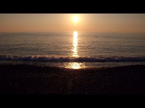 ზღვის, მდინარის, ტბის ბანკი