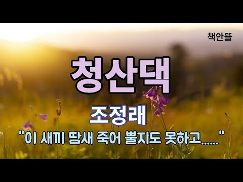   오디오북 청산댁 조정래 청산댁의 비극적인 삶과 시대의 아픔 자식에 대한 절대적인 희생 한국문학 소설낭독 책읽는여자책안뜰