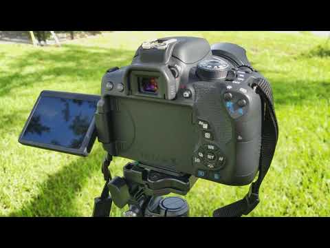 Видео: Canon t6i камера със сензор за изрязване ли е?