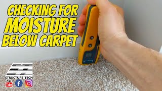 Checking for moisture below carpet using a moisture meter during a home inspection