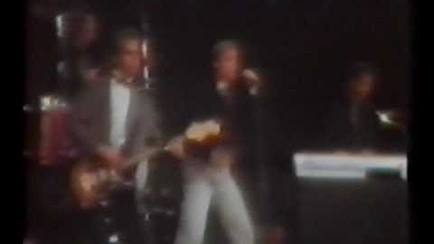 Vector - Mannequin Virtue