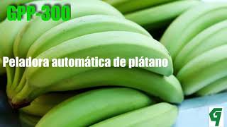 Máquina peladora automática de plátano  GPP300. GRUENN