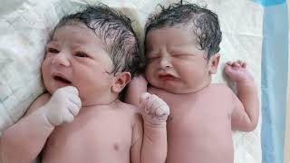 Chunky Twins Newborn babies Girl and Boy talking to each other after birth  @babiesvideos#cute