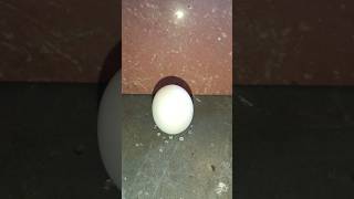 egg+sugar science experiment #experiment #science #shorts#viral #trending