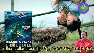 ඩොලර් ගිලපු කිඹුලා|million dollar crocodile