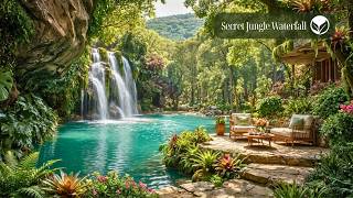 Secret Jungle Waterfall 🌿 Birds Singing, Gentle Water Sounds & Relaxing Nature Sounds screenshot 5