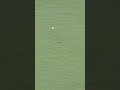 BANG!!! What a putt from Trev #golf
