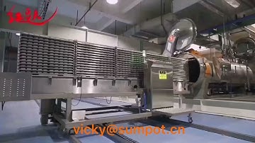 SUMPOT Automated Batch  Retort  System-With Robotic Plastic Tray Loading Unloading