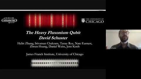 NSQA 2020  Heavy Fluxonium  David Schuster