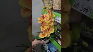 Искусственное тоже может быть красивым
