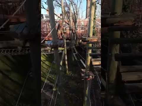 Video: Terrapin Adventures - Hochseilgarten in Savage, MD