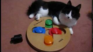 Tabuleiro Trilha - Pet Games - Brinquedos Sensoriais + Frajola, o Gênio screenshot 2