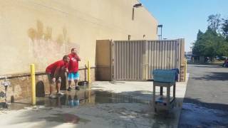 Walgreens Rednose Fun 2016