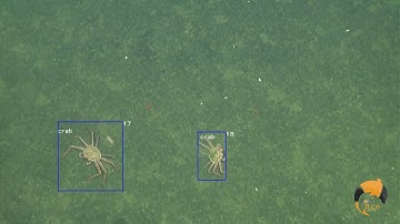 Microsoft/MATE Cloud Computing Competition Warm-up Round Robo-tech