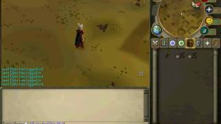 Runescape Green dragon guide