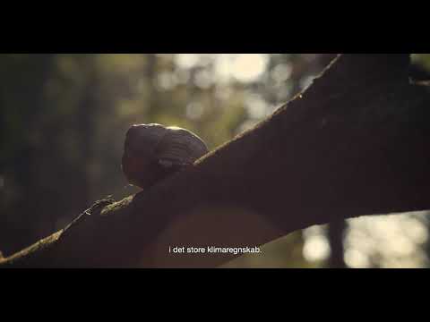 FDB Møbler Ansvarlighed - video from FDB Mobler