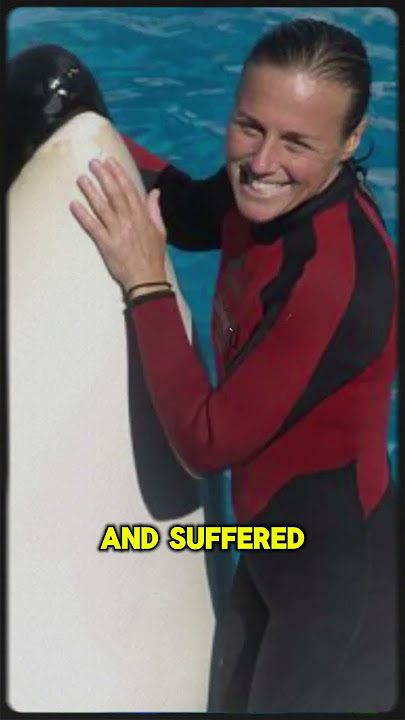 SeaWorld Trainer Dawn Brancheau Is Killed By An Orca  #nightmare