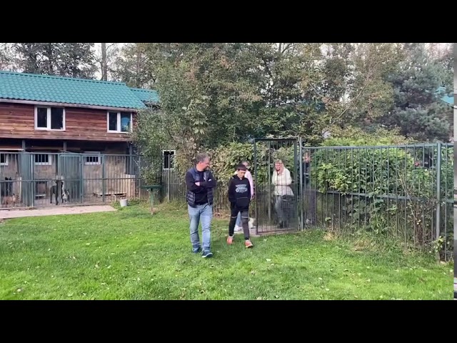 помет щенков на букву