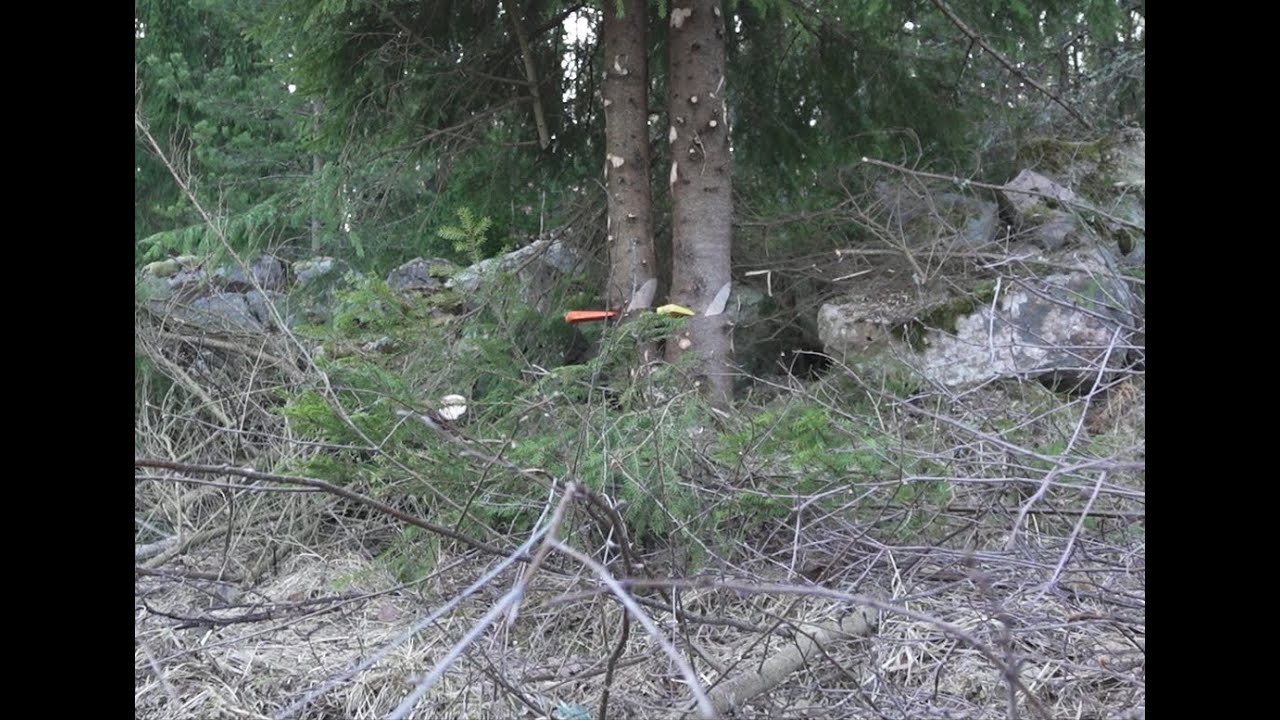 Graneländen och skotning med Valtra N135 och Moheda 121 4 WD