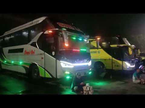 Dewi Sri: Mengarungi Nusantara dengan Armada Pariwisata Terpercaya dari Tegal