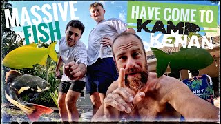 Predatory Fish From Paul Cuffaro Invade Kamp Kenan