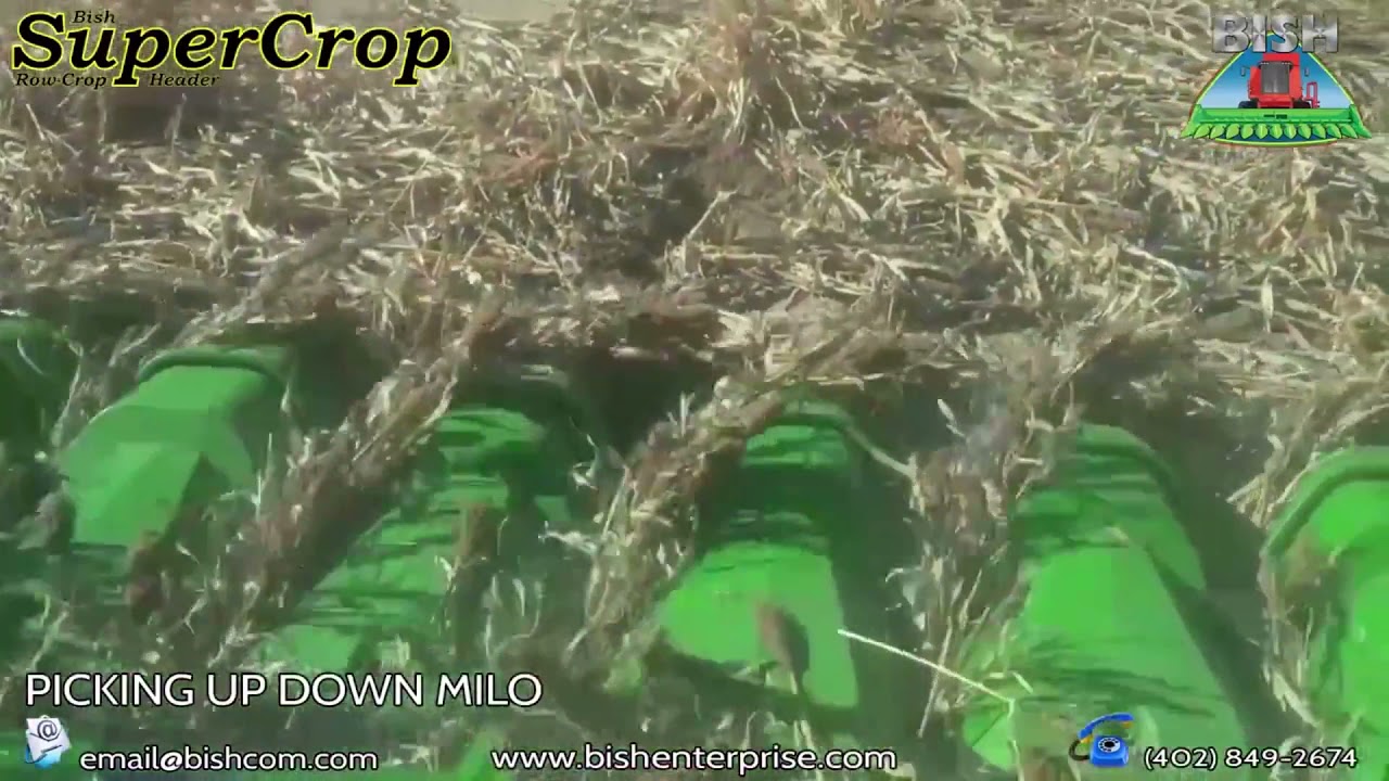 SuperCrop Row-Crop Header - Sorghum Highlights