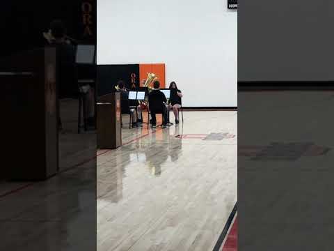 Sheldon Middle School quartet