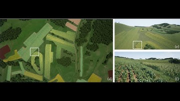 Large Scale Farm Scene Modeling from Remote Sensing Imagery (TOG/SIGGRAPH Asia 2024) demo video