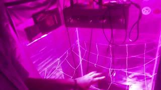 Resetting My Indoor Grow tents 😱