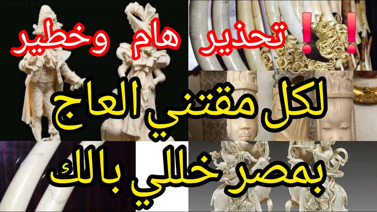 تحذير هام وخطير ..................لكل مقتني للعاج بمصر خللي بالك