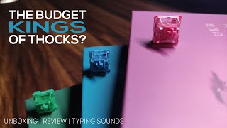 Akko CS Switch Review & Typing Sounds Comparison | THE BUDGET KINGS OF THOCKS? screenshot 4