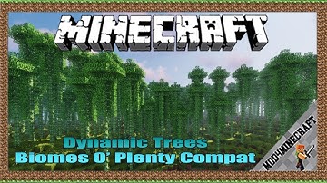 Dynamic Trees - Biomes O