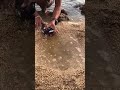You Won’t Believe What Came Out of This Fish|see view