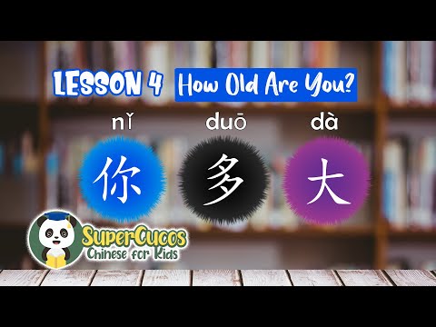 Chinese Lessons - Level 1 | 中文小课堂| Clases de Chino