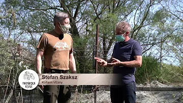 Proč jsou ryby zahrnuty do dietních pokrmů?