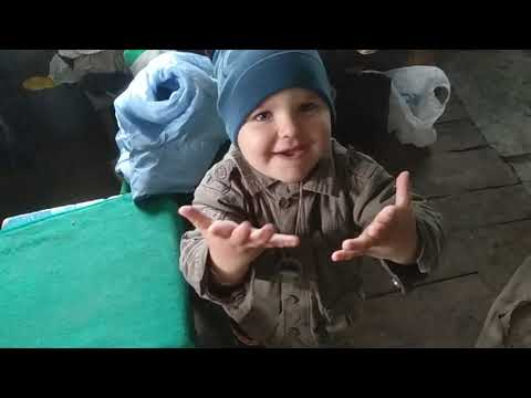 Жизнь в деревне / Лепим вареники)#влог #vlog